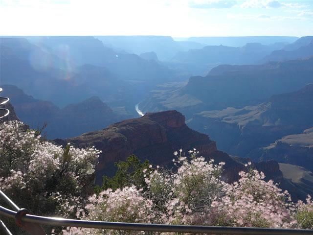 images/E-Hopi Point- Canyon View (9).jpg